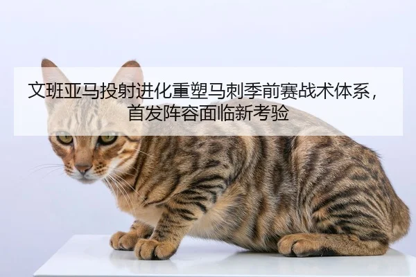 文班亚马投射进化重塑马刺季前赛战术体系，首发阵容面临新考验