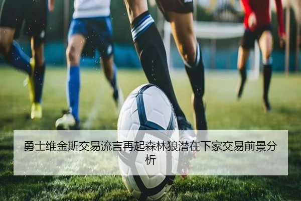 勇士维金斯交易流言再起森林狼潜在下家交易前景分析