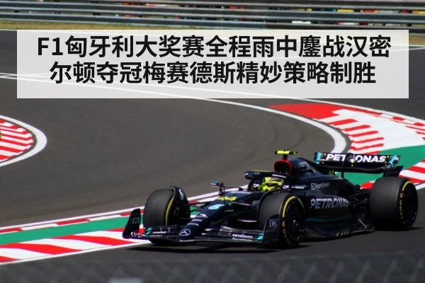 F1匈牙利大奖赛全程雨中鏖战汉密尔顿夺冠梅赛德斯精妙策略制胜