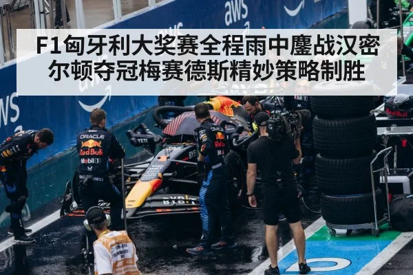 F1 wet race tire pit stop