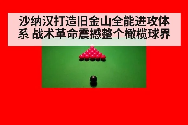 沙纳汉打造旧金山全能进攻体系 战术革命震撼整个橄榄球界